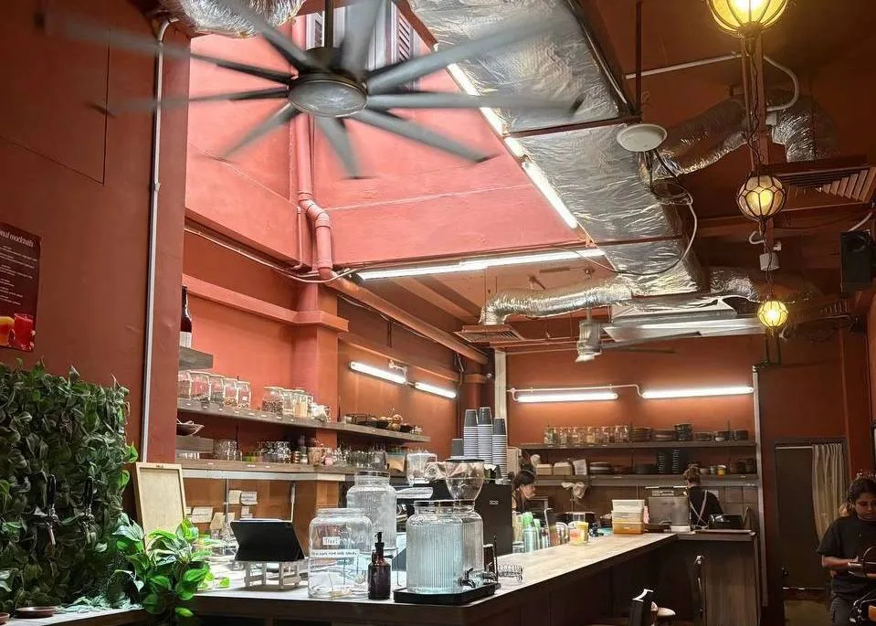 5 Vegetarian-Friendly Spots in Singapore to check out - Food guide photos in Singapore